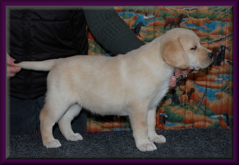 photo@ 6 weeks